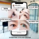 애니약국 | 잠실 속눈썹연장 디데이지 애니메래쉬 연장 후기
