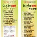 황금비앤채