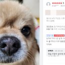 실험보감