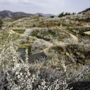 광양매화문화관 이미지