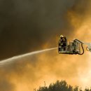 보령행정사무소 이미지