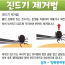 조치원메디컬센터 이미지