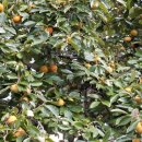 동천경로당 이미지