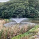 정유 행정사 이미지