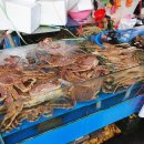 어시장 정문 이미지