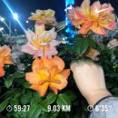 6월 첫번째일기 : 2025 상반기, 뭐 하며 살았더라?
