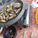 용두산장 이미지