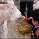 민성목장 이미지