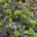 심원농장 이미지