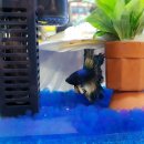 컴아저씨컴퓨터수리 이미지