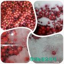 장생사슴농장 이미지