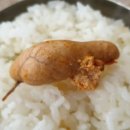 동아리동태탕;찜