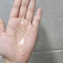 너츠포레스트 이미지
