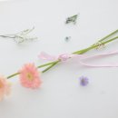 이진화스튜디오 이미지