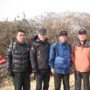봉동산 Daum카페