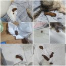 서한KD 네이버블로그