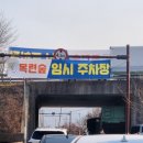 흥동환경 | 🌸 김해 목련숲 2026 실시간 개화현황 — 지금 안 가면 1년 기다려야 하는 흥동 목련숲의 모든 것