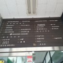 샐리에스테틱