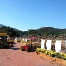 금정체육공원경륜장 이미지