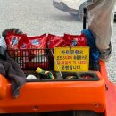 그린좌대2 낚시터 | 덕송지 수상풍차낚시터 / 좌대 내부·비품·가격 총정리