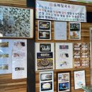 죽백농원 이미지