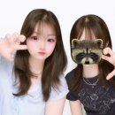 경주고등학교 | 일본 홈스테이 별점 5점 ⭐️⭐️⭐️⭐️⭐️