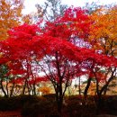 경기도 성남시 성남누비길 5구간(태봉산길) 도보여행. 이미지