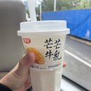 윤화얼음 | 장가계 5일차 마지막 날; 침향 쇼핑센터, 장가계 민속촌(대용전시관), 연변 냉면 찹쌀탕수, 블루베이...