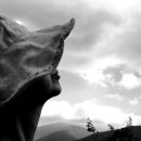 자연인펜션민박 이미지