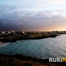 서귀포자연휴양림1 이미지