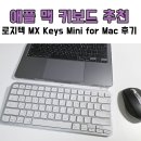 mini switch | 애플 맥 키보드 추천 로지텍 MX Keys Mini for Mac 사용 후기