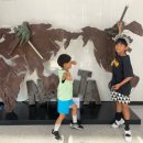 신난다 난타 | 제주한달살기 19일차. 파인더웨이브 서핑, 1100고지 습지, 난타공연