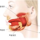 취차이