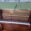 맑은피아노교습소 이미지