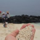 서빈백사해수욕장 이미지