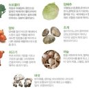 박서방상회 이미지