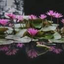 상애농장 이미지