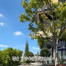 카페앙프 이미지