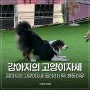 플레이바우