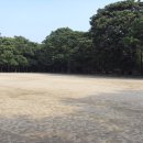 봉산초교 이미지