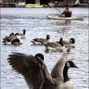 10월 17일 화요일 뉴우수~ 이미지