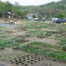 못골농장 이미지