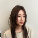 모노브로수완