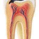 용현서울치과의원 이미지