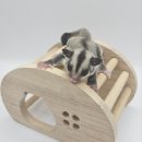 와우펫앤쥬 김해점 이미지