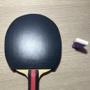 [포칼라 후기 이벤트 참여] 제가 추천할 수 있는 아웃터ALC 이미지