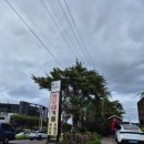 버드아일랜드 | 제주 아이랑 실내 가볼만한곳, 해안동 버드아일랜드 앵무새카페 6살 아들 방문 후기