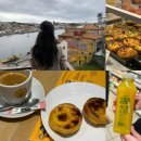 원지제방길R | 포르투 맛집 #3] My Coffee Porto 도루강 뷰 맛집 카페, 에그타르트(나타) 3곳 비교 &amp; 볼트 푸드 배달 후기
