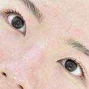 부평종합시장 관리사무소 | 만수동 속눈썹펌 추천 메인틴 뷰티스튜디오 딥클리닉 블랙틴팅펌 후기