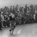 월포주유소 이미지